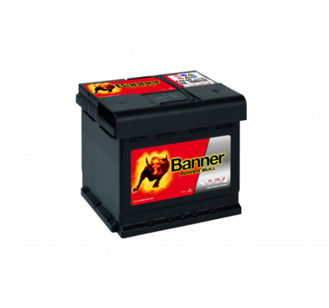 Batterie Banner P44 09 44Ah 420A