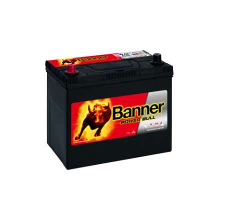 Batterie Banner P45 24 45Ah 390A