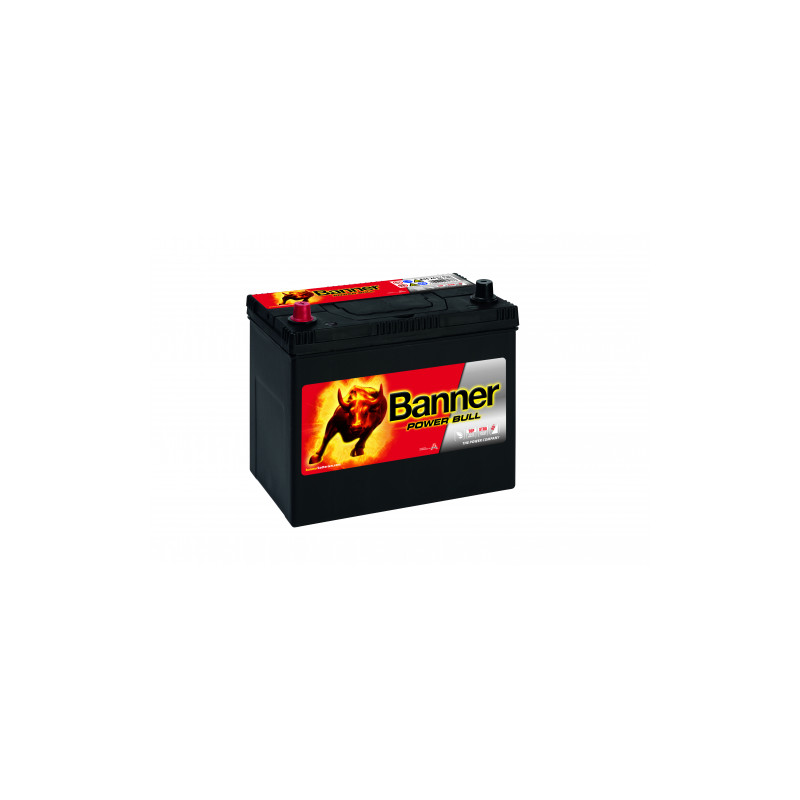 Batterie Banner P45 24 45Ah 390A