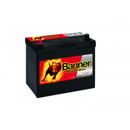 Batterie Banner P45 24 45Ah 390A