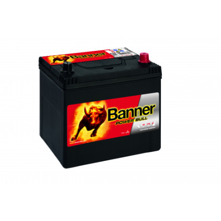 Batterie Banner P60 68 60Ah 510A