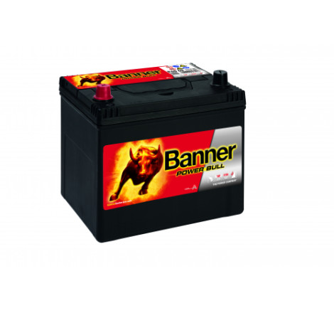 Batterie Banner P60 69 60Ah 510A