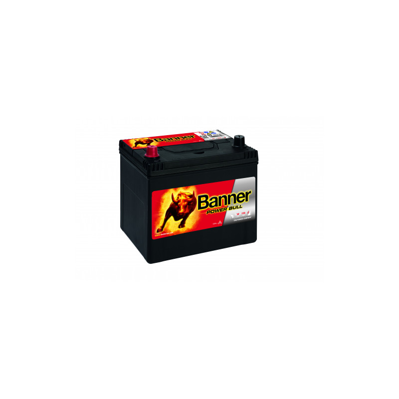 Batterie Banner P60 69 60Ah 510A