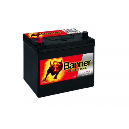 Batterie Banner P60 69 60Ah 510A