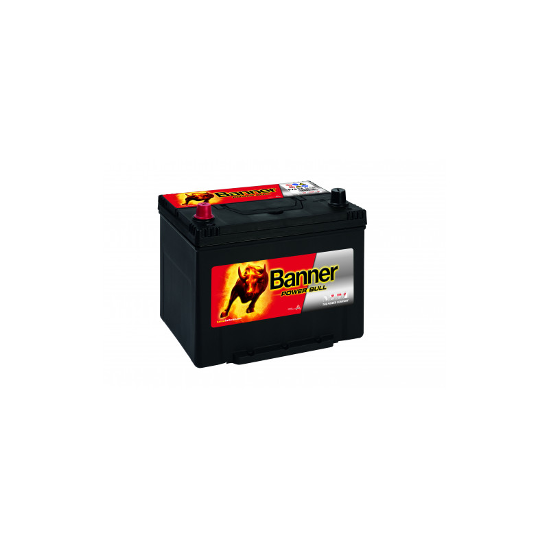 Batterie Banner P70 24 70Ah 600A