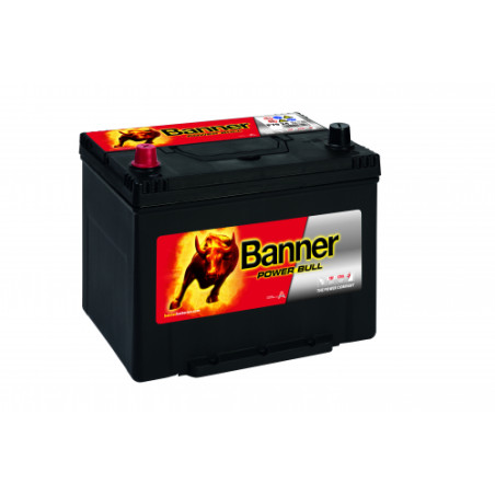 Batterie Banner P70 24 70Ah 600A