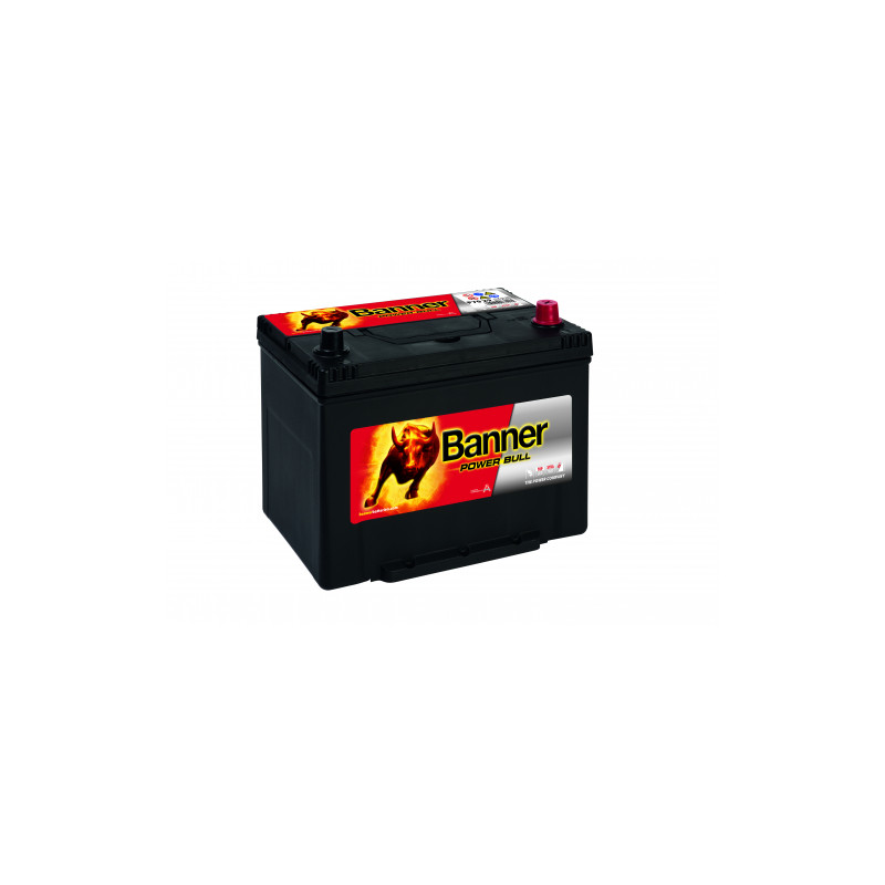 Batterie Banner P70 29 70Ah 600A