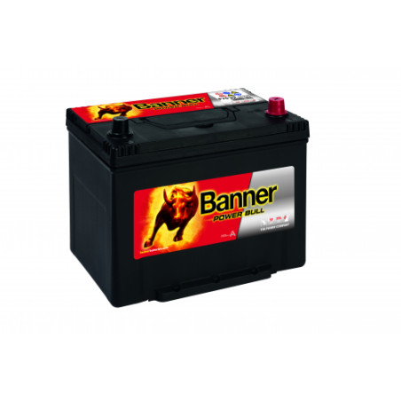 Batterie Banner P70 29 70Ah 600A