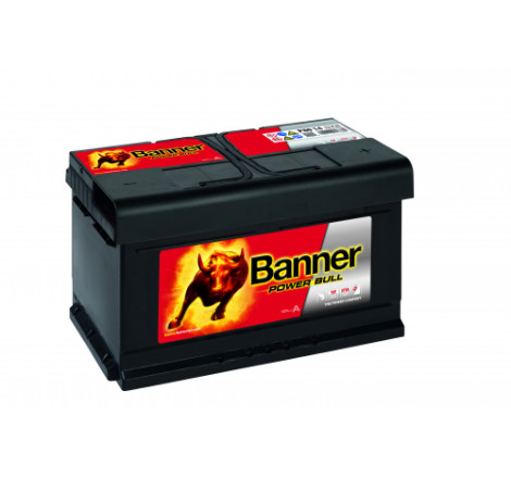 Batterie Banner P80 14  80Ah 700A