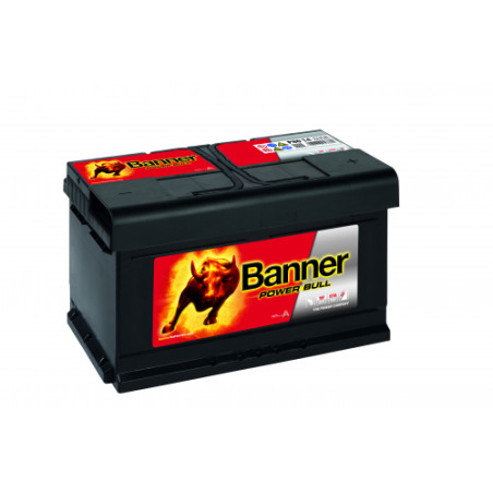 Batterie Banner P80 14  80Ah 700A