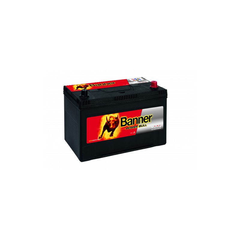 Batterie Banner P95 04 95Ah 740A