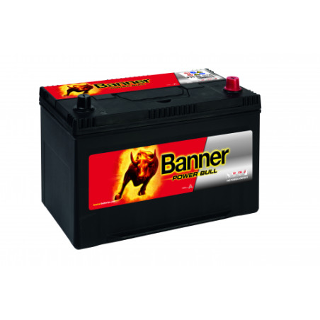 Batterie Banner P95 04 95Ah 740A