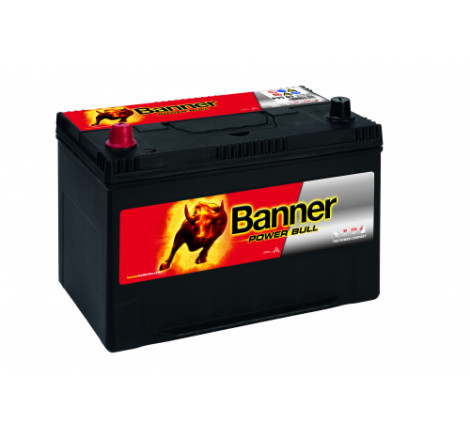 Batterie Banner P95 05 95Ah 740A