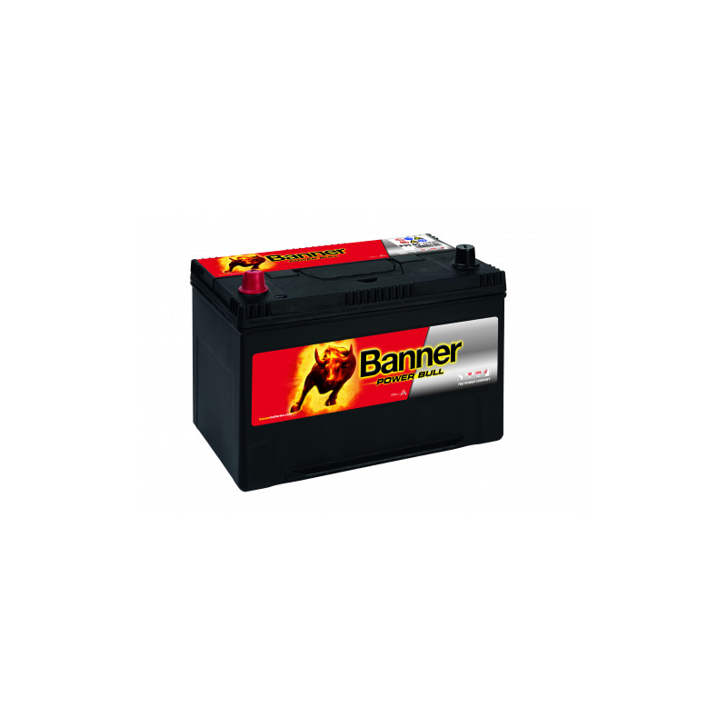 Batterie Banner P95 05 95Ah 740A