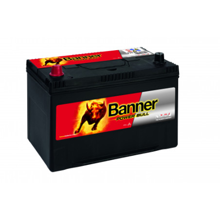 Batterie Banner P95 05 95Ah 740A