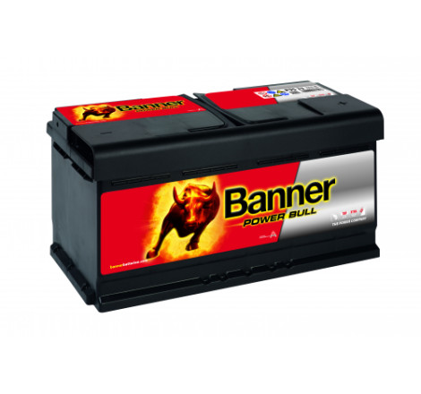 Batterie Banner P95 33 95Ah 780A