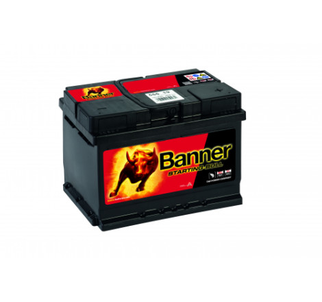 Batterie Banner 555 19 55Ah 450A