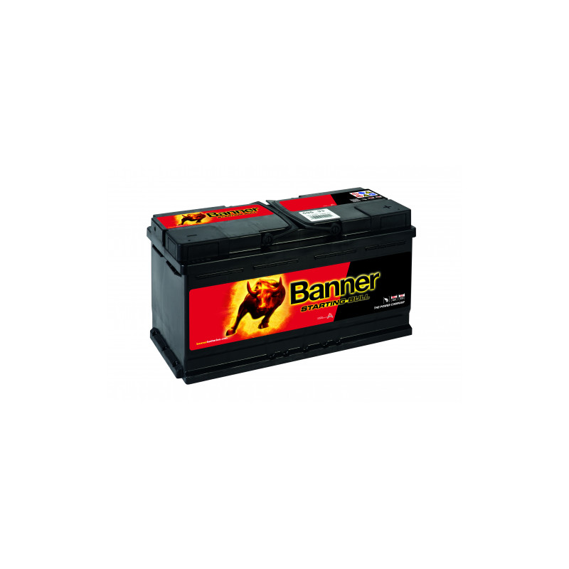 Batterie Banner 595 33 95Ah 740A