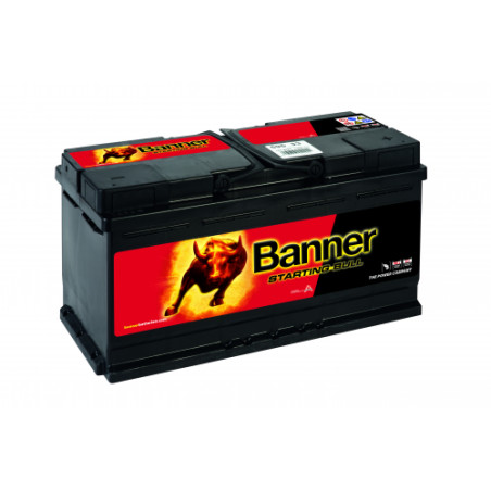 Batterie Banner 595 33 95Ah 740A