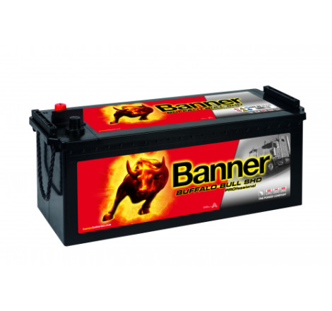 Batterie camion Banner SHD PRO 645 03 145Ah 800A