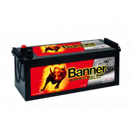 Batterie camion Banner SHD PRO 645 03 145Ah 800A