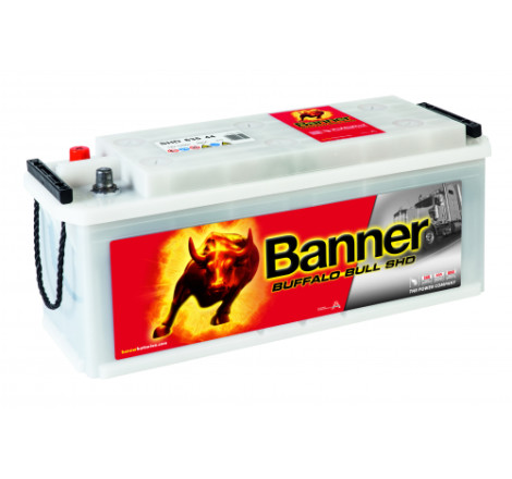 Batterie camion Banner SHD 635 44 135Ah 900A