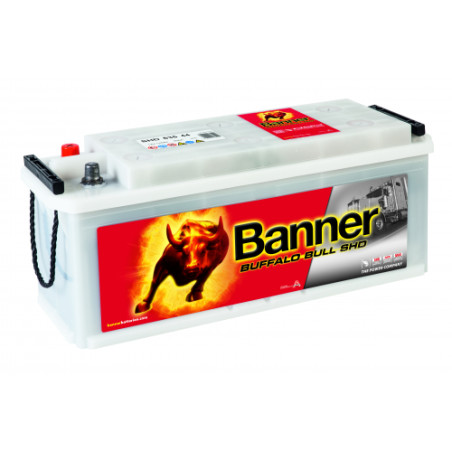 Batterie camion Banner SHD 635 44 135Ah 900A