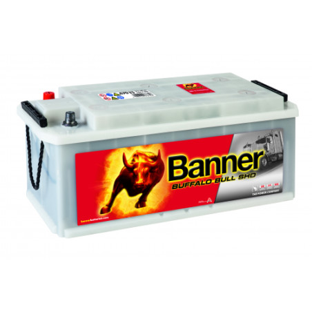 Batterie camion Banner SHD 670 33 170Ah 1000A