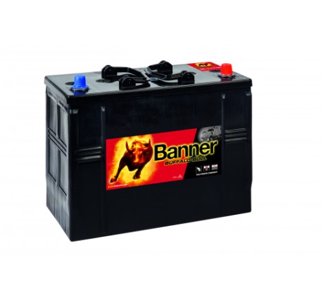 Batterie camion Banner 625 11 125Ah 760A