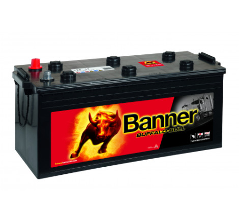 Batterie camion Banner 725 11 225Ah 1050A