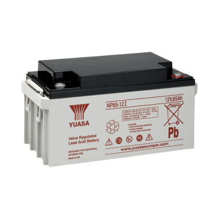 Batterie stationnaire Yuasa NP65-12I 12V 65Ah